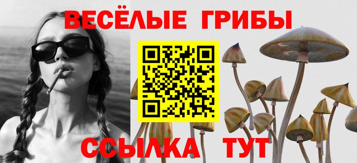 Галлюциногенные грибы Cubensis Стерлитамак